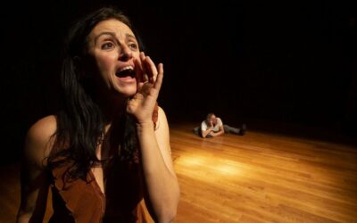 CANTO D’AMORE ALLA FOLLIA di Animali Celesti – Teatro d’arte civile